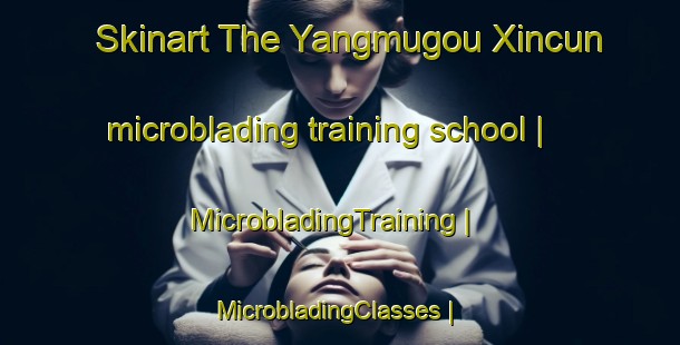 Skinart The Yangmugou Xincun microblading training school | MicrobladingTraining | MicrobladingClasses | SkinartTraining-China